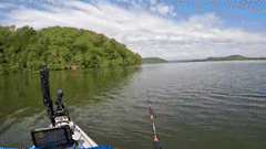 Golly Whopper: Kayak Catfish Signature Rod